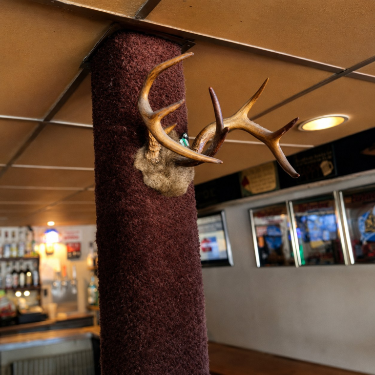 Mounted deer inside Boschertown Bar & Grill