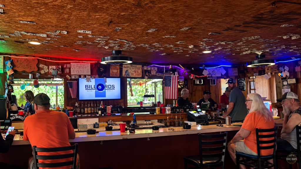 Scenes from Show Me Dive Bars
